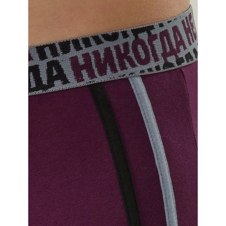 Men's panties, size 50, blueberry color-2