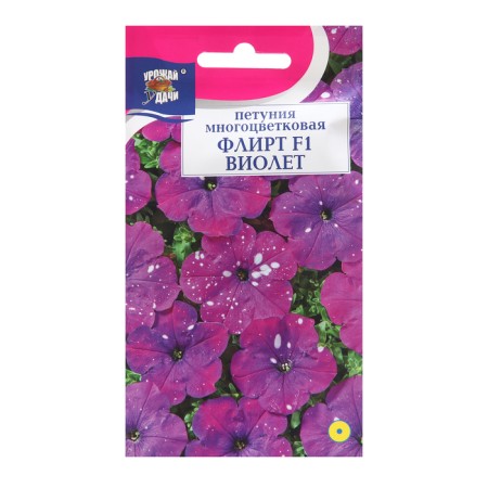 Flower Flower Flows "Flirt Violet", F1, 7 pcs