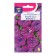 Flower Flower Flows "Flirt Violet", F1, 7 pcs