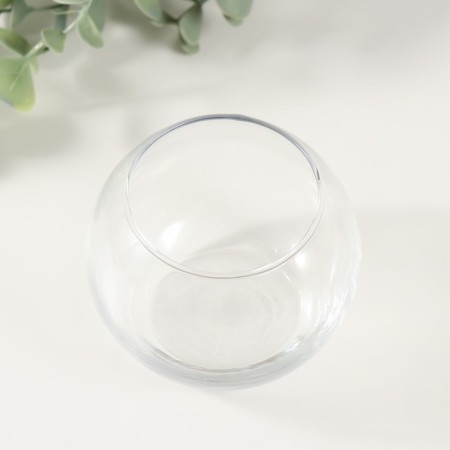 Set for growing plants "grow grass" Shar transparent-1