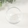 Set for growing plants "grow grass" Shar transparent