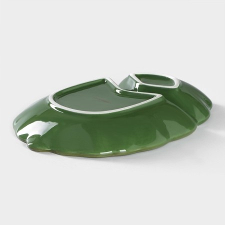 Menzhitsa 2 cells of the leaf, 24.7 × 18 × 3.8 cm, green color-2