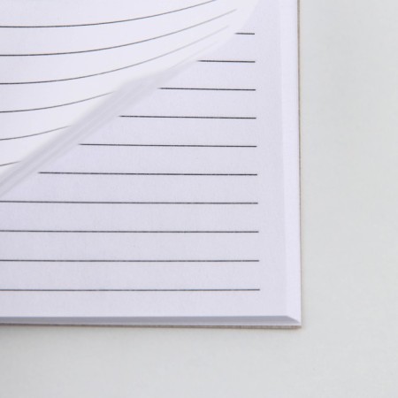 Diary in the thin cover A6, 52 sheets "Girl"-2