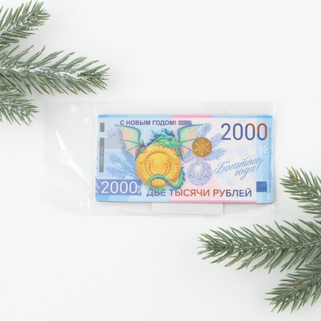 New Year's magnet "New Year: rich year", 10 x 5 cm-4