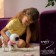 Robot dog “Chappi” IQ Bot, interactive: touch, light, sound, musical, dancing, on the battery, in Russian, pink