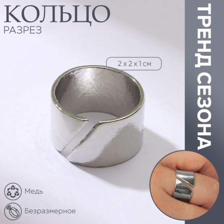 Ring "section" trend, color silver, dimensionless