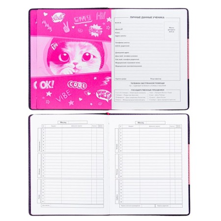 School diary for grades 1-11 Cats, hard cover with artificial leather foam, PVC applique, 48 sheets, OFSET 80G/m2, universal cheat sheet-3