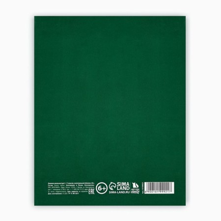 School diary for grade 1-11, in an integrated cover, 40 l. "School accessories"-4