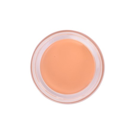 Facial Corrector 01 (New) Cover Perfection Pot Concealer 01.clear Beige 4g-1