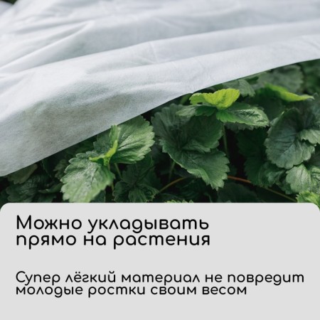 Covering material, 20 × 3.2 m, density 30 g/m², spanbond with UV stabilizer, white, Greengo, economy 30%-1