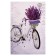 Picture on the canvas "Bicycle" 40*60 cm