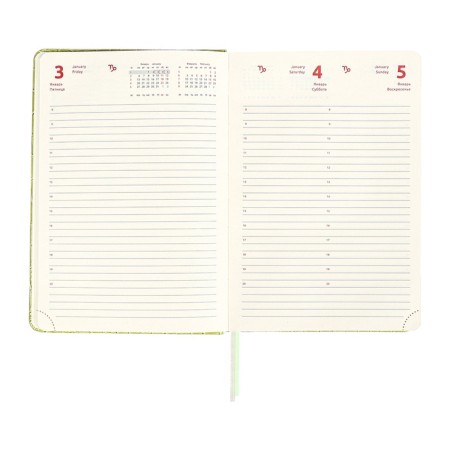 Dated diary of 2025, A5, 168 sheets, DEVENTE. Barbara, a solid cover of leatherette with foam, perforation, liesse, block 70, green-13