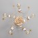 Arden chandelier BP 5x40W E27 Gold Model: 2600551 10662079