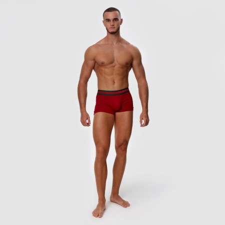 Panties boxers are male, color red mix, size 54-1