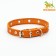 Single-layer leather collar with corrugated eyelets, dimensionless, 40 x 1.5 cm, Osh 27-35 cm, red 70