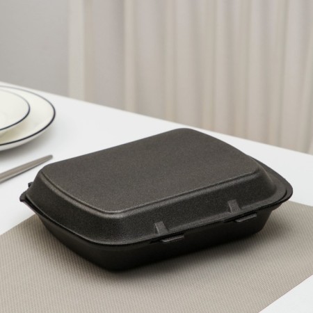 Disposable lunch box, 24.7 × 20.6 × 3.5 cm, 1 section, black color