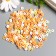 Beads for PVC Creativity "Ring of Yellow-Orange" set ≈ 330 pcs 0.1x0.6x0.6 cm