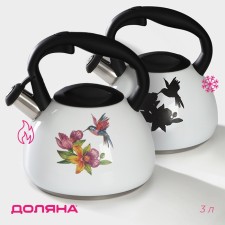 A kettle with a stainless steel whistle of a 