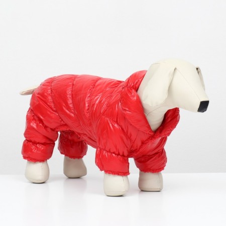 Kombinson "Shine", size M (DS 30 cm, og 40, Osh 27 cm, up to 7 kg), red-1