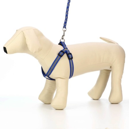 Set "braid", fluorescent, leash 115 x 1 cm, og 32-48 x 1.5 cm, blue-2
