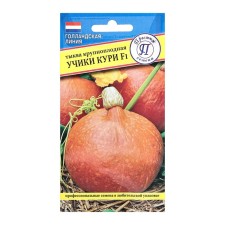 Seeds of pumpkin 