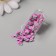Decor for creativity in the bank "Fruit and pebbles" set of 12 pcs 13.4x8.8x3 cm