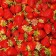 Strawberry seedlings of Frigi Dali (Dahli) a (9-15 mm), 5 pcs
