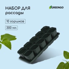 Set for seedlings: glasses of 300 ml (10 pcs), pan 41 × 17 cm, color mix
