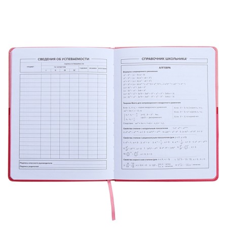Universal Grade 1-11 Diary, 48 pink sheets, firm artificial leather cover, pancake embossing, liesse-9