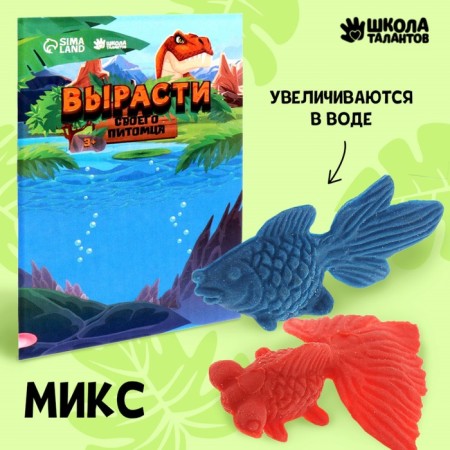 Children's experience “growing animal. Goldfish ", mix-8