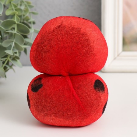 Growing gift Grass growing "God's ladybug"-2