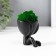 Concrete Kashpo "Mr. Green" with moss black 5.5x6.5x6.5 cm (moss green stabilized)