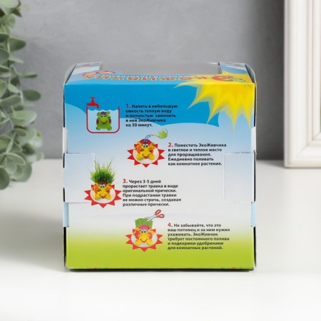 Growing gift Eco -Zhizhivchik "Hedgehog" MIX Gift packaging-6