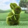Figure "Grassmill Bunny" 8x8.5x14cm