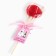 Lollice Wine on a stick "Happy Strong and Independent"