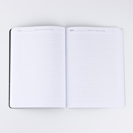 Diary A5+, 100 sheets soft region. SOFT-Tach "For great plans"-2