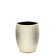 Lucida cup, gold color