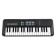 Terris TK-100 BK synthesizer