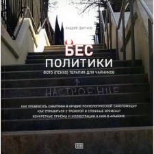 Бес политики. Фото (психо) терапия для чайников. Цветков А.