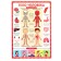 Training posters. Knowledge for preschoolers