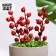 Set of plugs "Berries" 3 pcs, red, 4x4cm, length 20cm