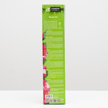 Papageno rose seedling, spring 2024, 1 pc.-1