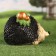 Garden figure "Hedgehog with acorns" 17x23x18cm