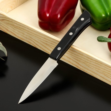 Kitchen knife "Sakura", for vegetables, blade 9 cm