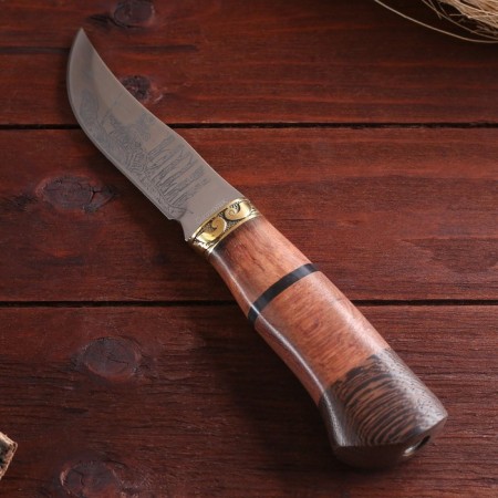 Hunting knife "Taezhik" 23 cm, blade 112mm/2.8 mm, wood, with engraving-2