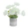 Night Astra 9XLED 4000K white 15x15x40cm Risalux