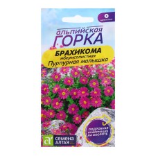 The seeds of the brahikom 