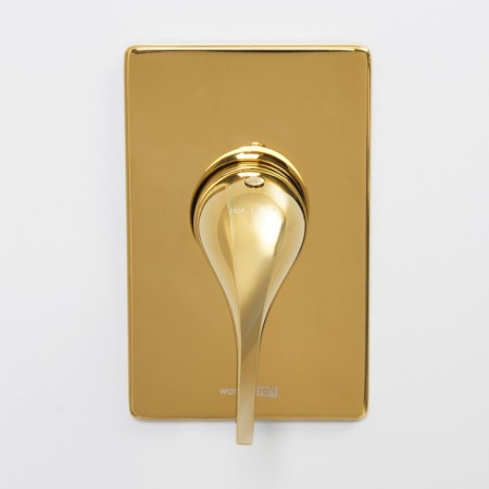 Shower mixer Wasserkraft Sauer 7151, single -leaf, without watering can, without spout, gold-1