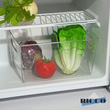 Container for the refrigerator Ricco, 29 × 20.5 × 15.5 cm