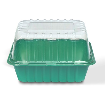 Mini-Pirate for seedlings 21 × 16 × 6.5, without inserts, Greengo-2